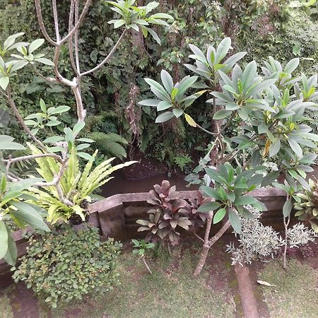 Dewi Ayu Accomodation Ubud Exterior foto
